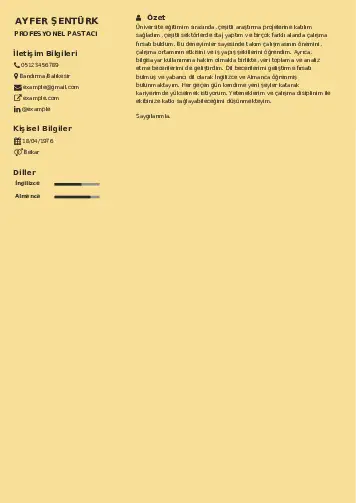 Pastacı Cv Örnekleri cv indir